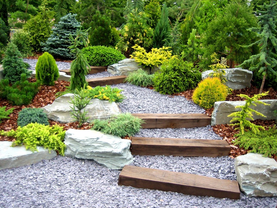 landscaping san Antonio